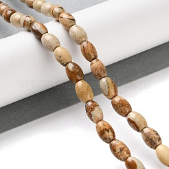 Natural Picture Jasper Beads Strands&nbsp;G-I369-B04-01