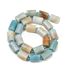 Natural Flower Amazonite Beads Strands&nbsp;G-G453-E05-10x14mm