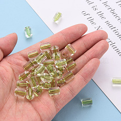 Transparent Acrylic Beads&nbsp;TACR-S154-17A-83