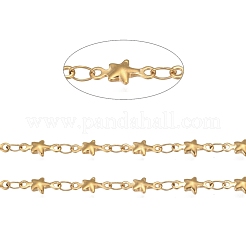 304 Stainless Steel Link Chains&nbsp;STAS-P219-74G