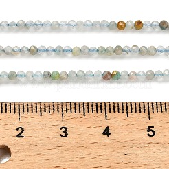 Natural Flower Amazonite Beads Strands&nbsp;G-RM2025-02B-2mm
