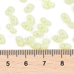 Baking Paint Glass Seed Beads&nbsp;SEED-L011-09A-21
