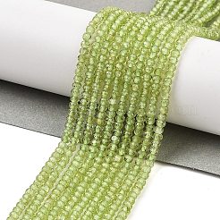 Natural Peridot Beads Strands&nbsp;G-ONLY-T-B07-01A