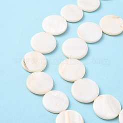 Natural Freshwater Shell Beads&nbsp;S00C20W3