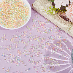 2000Pcs Glass Seed Beads&nbsp;SEED-PA0001-30