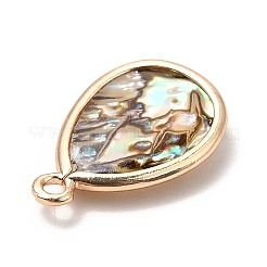 Brass Enamel Pendants&nbsp;KK-K252-10G-07