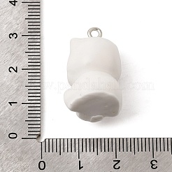 Opaque Resin Pendants&nbsp;RESI-P051-02P-M