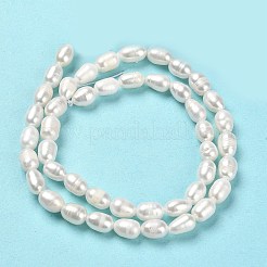 Natural Cultured Freshwater Pearl Beads Strands&nbsp;PEAR-E016-132