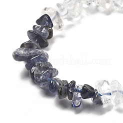 Natural Quartz Crystal & Iolite Beads Strands&nbsp;G-L610-A30-01