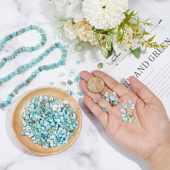 Natural Freshwater Shell Beads Strands&nbsp;BSHE-WH0006-05B