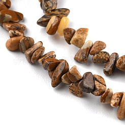 Natural Picture Jasper Beads Strands&nbsp;G-G0003-B16