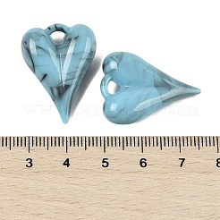 Acrylic Pendants&nbsp;OACR-M025-01C