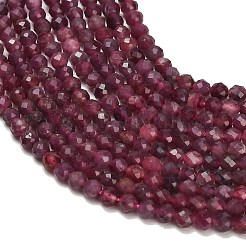 Natural Red Tourmaline Beads Strands&nbsp;GG-CBA77FB-B01-3mm-B