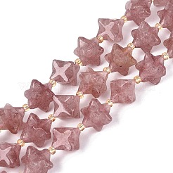 Natural Strawberry Quartz Beads Strands&nbsp;G-Q608-07A-03