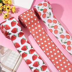 3 Rolls 3 Style Polyester Ribbon&nbsp;OCOR-TA0003-61