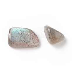 Natural Labradorite Beads&nbsp;G-I304-08