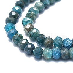 Natural Apatite Beads Strands&nbsp;G-F715-101B