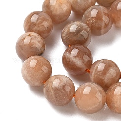 Round Natural Multi-Moonstone Beads Strands&nbsp;G-I176-09-10mm-02