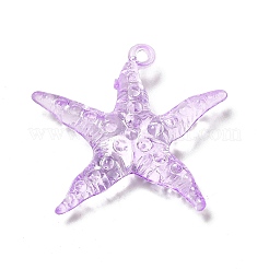 Transparent Acrylic Pendants&nbsp;TACR-P003-05