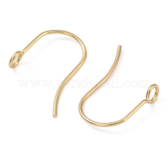 316 Surgical Stainless Steel Earring Hooks&nbsp;STAS-P162-13G-B01