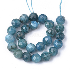 Natural Apatite Beads Strands&nbsp;G-S345-6mm-008
