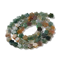 Natural Indian Agate Beads Strands&nbsp;G-B138-C04-01