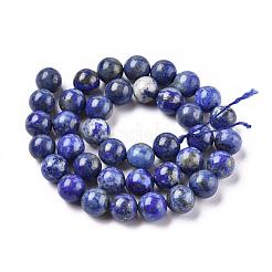 Natural Lapis Lazuli Round Bead Strands&nbsp;X-G-E262-01-10mm