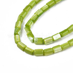 Natural Trochid Shell/Trochus Shell Beads Strands&nbsp;SHEL-N003-26-B07