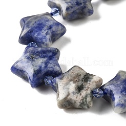 Natural Sodalite Beads Strands&nbsp;G-U023-C01-04