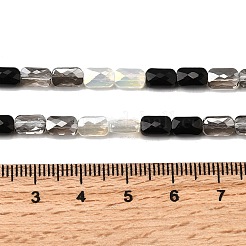 Electroplate Glass Beads Strands&nbsp;X-EGLA-D300-05-02