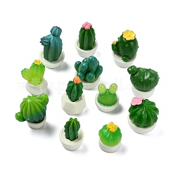 24Pcs 12 Styles Cactus Miniature Ornaments&nbsp;DJEW-CJ0001-25
