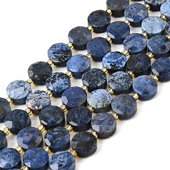 Natural Dumortierite Beads Strands&nbsp;G-B094-A36-01