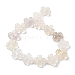 Natural White Agate Beads Strands&nbsp;G-P520-A01-01