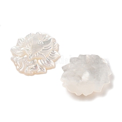 Natural White Shell Carved Cabochons&nbsp;SSHEL-I026-22B