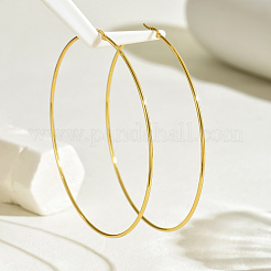 Stylish 201 Stainless Steel Exaggerated Ring Hoop Earrings&nbsp;YK5940