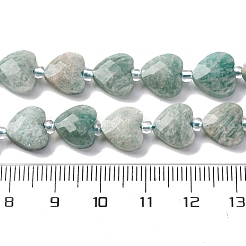 Natural Amazonite Beads Strands&nbsp;G-P570-E15-01