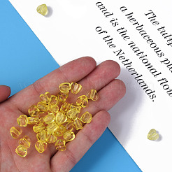 Transparent Acrylic Beads&nbsp;MACR-S373-95-B03