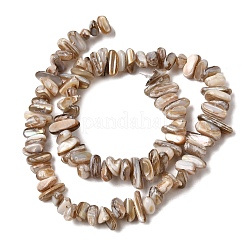 Natural Freshwater Shell Beads Strands&nbsp;X-SHEL-A006-05