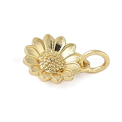 Brass Pendants&nbsp;KK-L245-13G