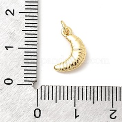 Brass Pendants&nbsp;KK-Z135-17B-G