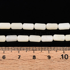 Natural White African Opal Beads Strands&nbsp;G-N346-01A-10
