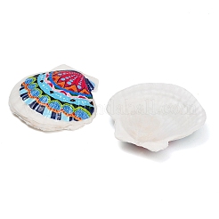 Printed Natural Shell Big Pendants&nbsp;SH-CBA93AD-19A