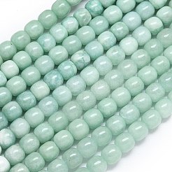 Natural Malaysia Jade Beads Strands&nbsp;G-B165-F14-10x10mm