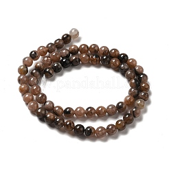 Natural Chiastolite Beads Strands&nbsp;G-F729-02A