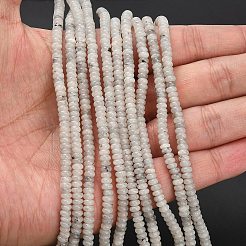 Natural Labradorite Beads Strands&nbsp;G-L635-A05-4x2mm