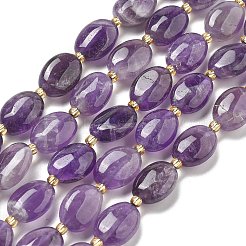 Natural Amethyst Beads Strands&nbsp;G-H005-A11-02