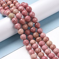 Natural Rhodonite Beads Strands&nbsp;G-E571-01B