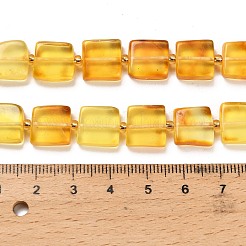 Natural Amber Beads Strands&nbsp;G-C260-A01-01