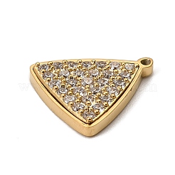 304 Stainless Steel Micro Pave Cubic Zirconia Charms&nbsp;LS-STAS-I356-04G-02
