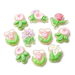 Transparent Resin Cabochons&nbsp;CRES-I046-09